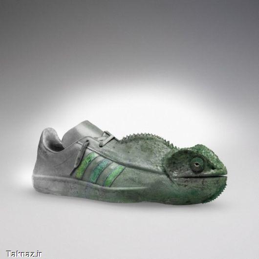 Art of Manipulating Adidas Shoes